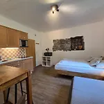 Apartment Ski-n-lake Zell am See