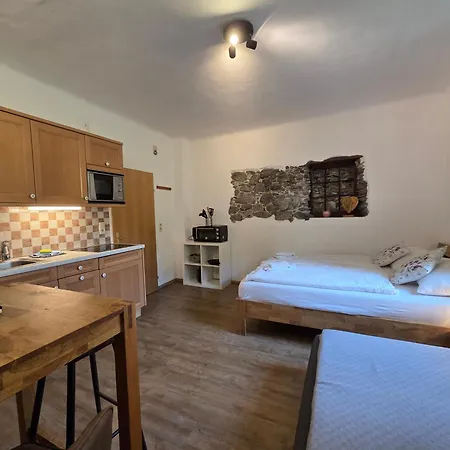 Apartment Ski-n-lake Zell am See